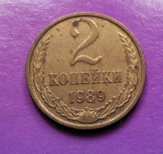 2 копейки 1989 СССР #05