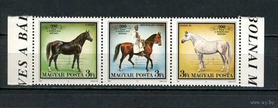 Венгрия - 1989 - Лошади - сцепка - [Mi. 4015-4017] - полная серия - 3 марки. MNH.  (Лот 120CX)