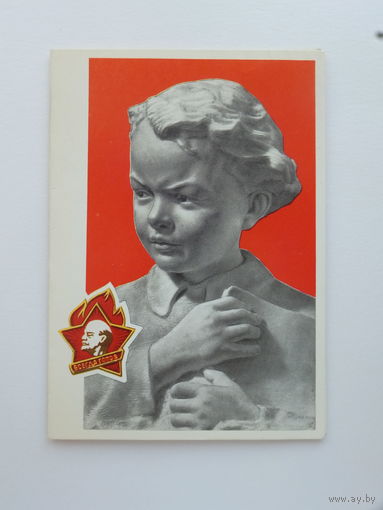 Зуськов Ленин пионерия Бобруйск 1979  10х15 см