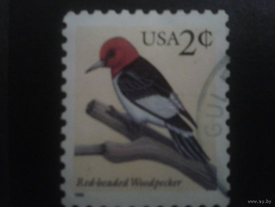 США 1996 птица