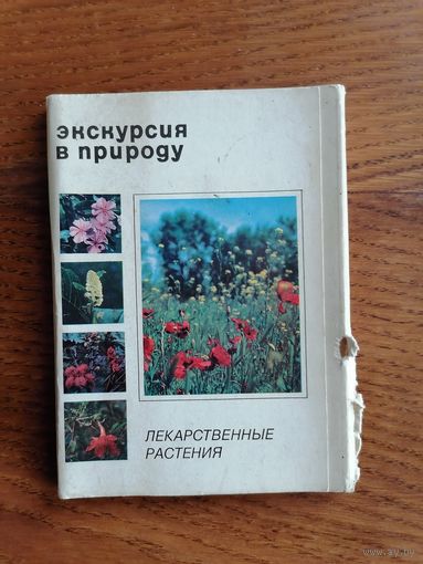 Набор открыток из СССР. Экскурсия в природу. Лекарственные растения.