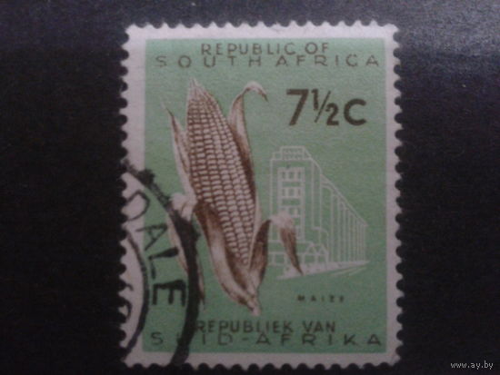 ЮАР 1961 стандарт, маис