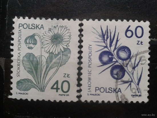 Польша, 1989, Стандарт, лекарственные растения, полная серия