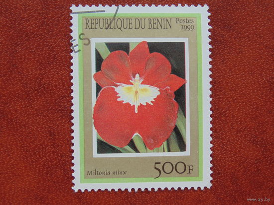 Бенин  1999г. Флора.
