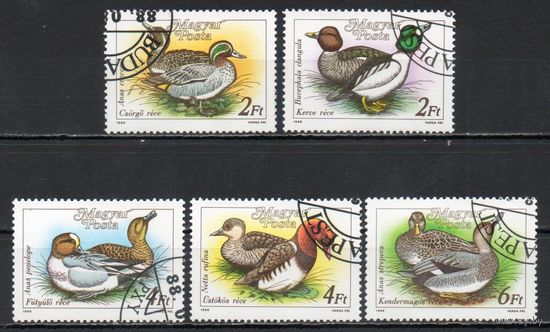 Дикие утки Венгрия 1988 год серия из 5 марок