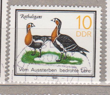 Птицы Фауна ГДР Германия 1985 год лот 1077