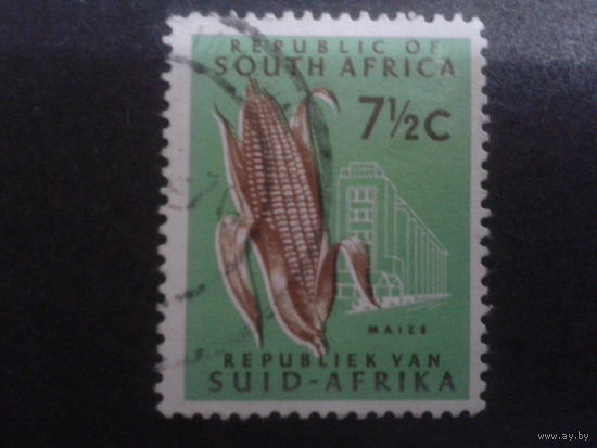 ЮАР 1967 стандарт, маис
