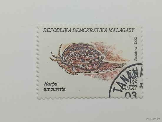 Мадагаскар 1993. Моллюски