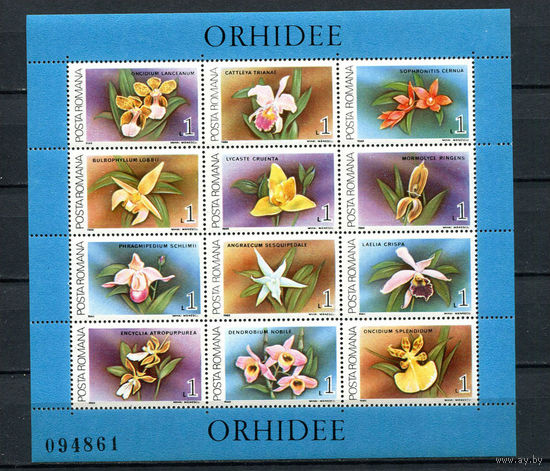 Румыния - 1988 - Цветы. Орхидеи - [Mi. bl. 249] - 1 блок. MNH.  (Лот 104CZ)