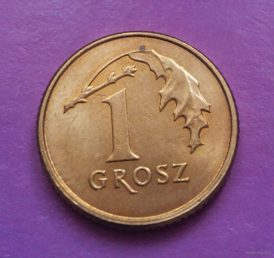 1 грош 2013 Польша #02