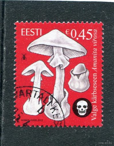 Эстония. Ядовитые грибы. Мухомор вонючий