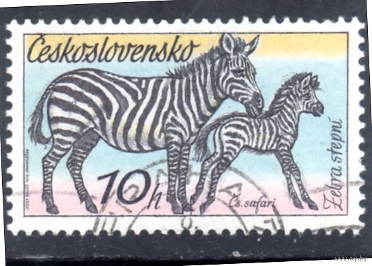 Чехословакия.Ми-2345. Зебры (Equus quagga). Серия: Чехословацкое сафари. 1976.