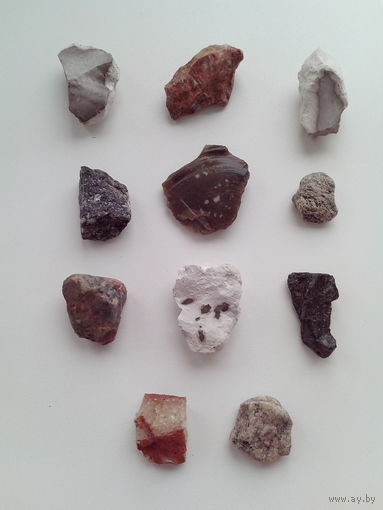 Камни, минералы, окаменелости.