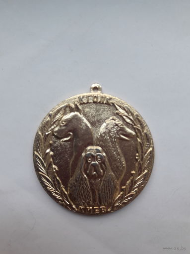 Собачья медаль  Киев