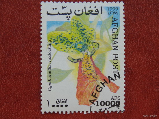 Афганистан   1999г. Флора.