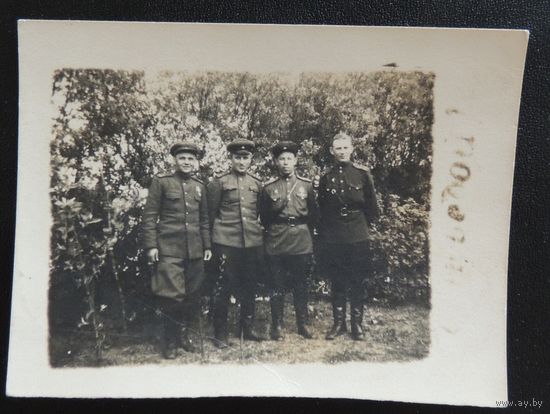 Фото "Группа офицеров", Германия, перед Одером, апрель 1945 г.
