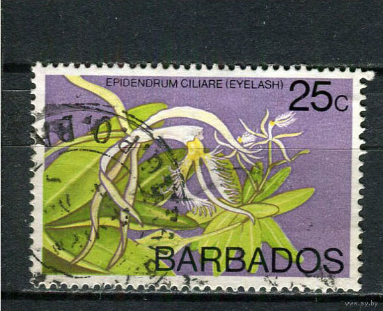Барбадос - 1974/1979 - Орхидея 25С - [Mi.374X] - 1 марка. Гашеная.  (Лот 90Dh)