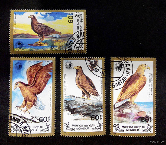 Монголия 1988 г. Орлы. Хищные птицы. Фауна, полная серия из 4 марок #0151-Ф1P35