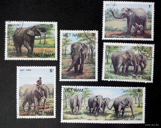 Вьетнам 1986 г. Слоны. Фауна, полная серия из 6 марок #0190-Ф1