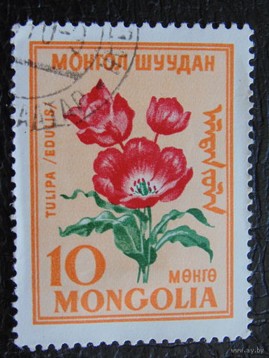 Монголия. Флора.