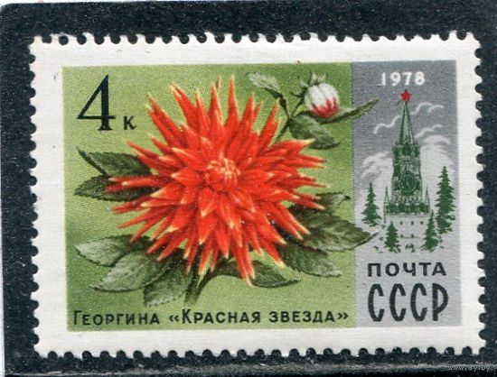 СССР 1978. Цветы. Георгин