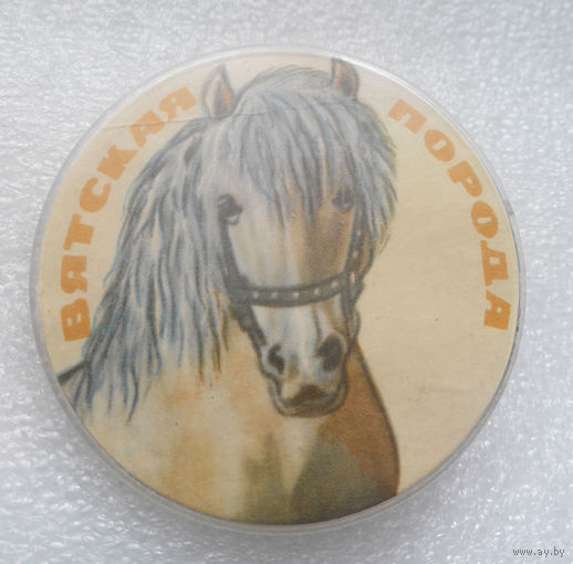 Значок. Лошадь. Вятская порода #0097