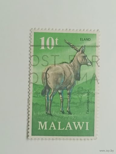 Малави 1971. Антилопа