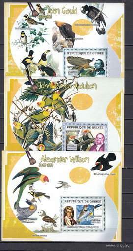 Фауна. Птицы. Гвинея. 2007. 3 блока. Michel N (20,0 е).
