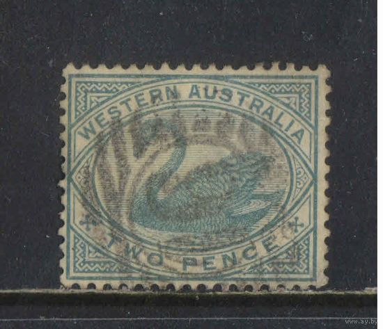 GB Колонии Австралия Западная 1890 Черный лебедь Стандарт #35