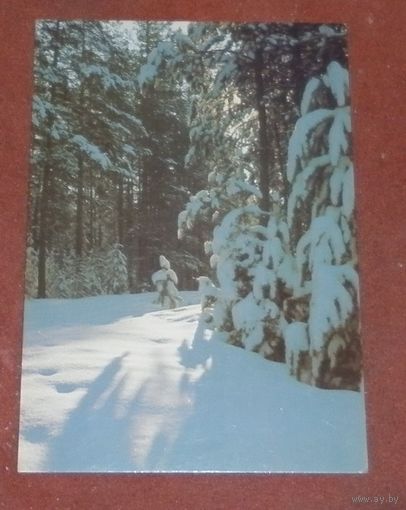 Открытка "Зимний лес" 1986г. чистая