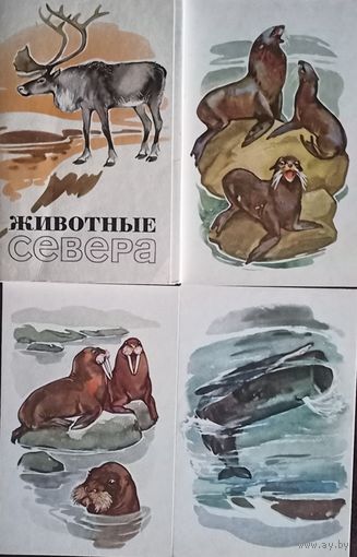Н. Строганова, М. Алексеев Набор открыток (16 шт.) Животные Севера, 1972 год