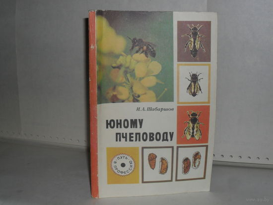 Шабаршов И.А. Юному пчеловоду. Книга для учащихся.