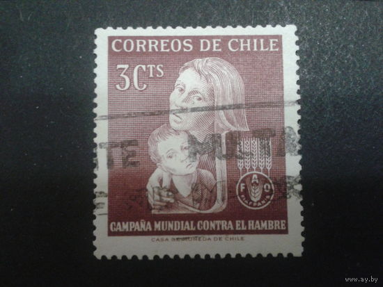 Чили 1963 мать и ребенок
