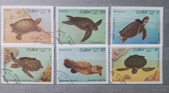Куба.1983г. Фауна. Черепахи.