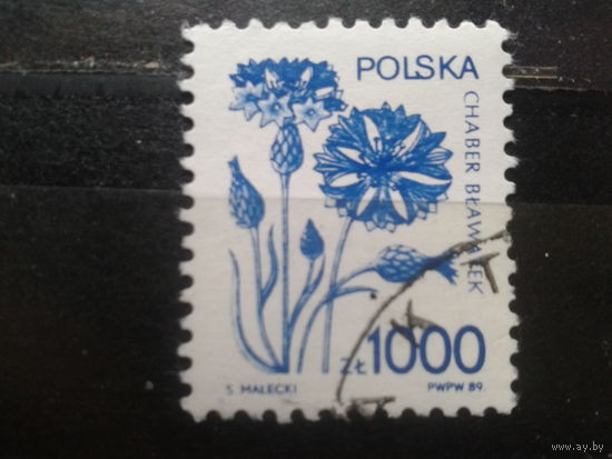 Польша, 1989, Стандарт, лекарственные растения