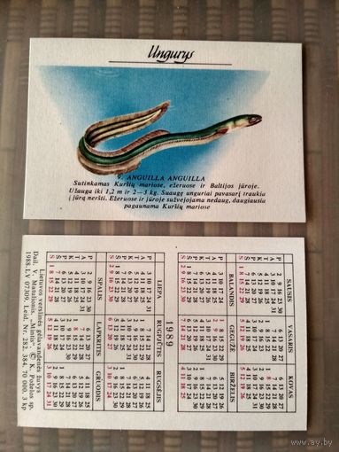 Карманный календарик. Серия Рыбы. Прибалтика. 1989 год