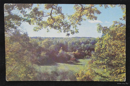 Гайлитис Я. Вид с Лебединого берега в Терветском лесном парке. 1975 год. Чистая #0133-V1P67