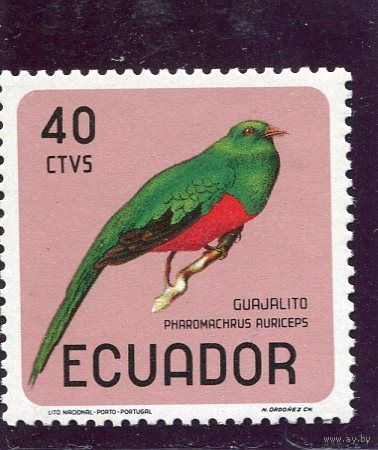 Эквадор. Птица. Трогоновые