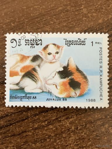 Камбоджа 1988. Породы кошек. Марка из серии