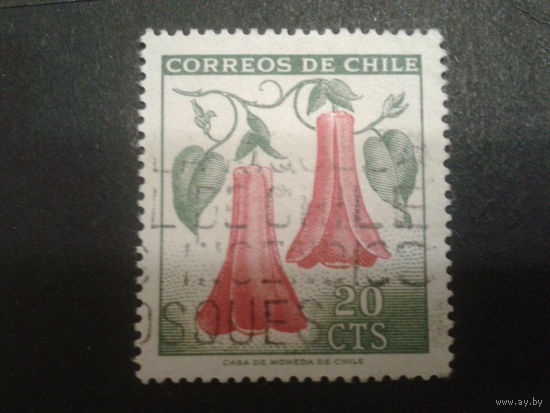 Чили 1965 стандарт, цветы