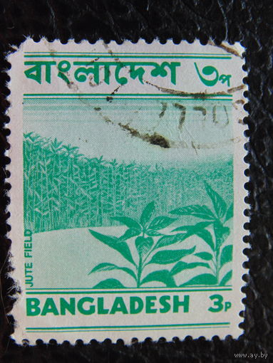 Бангладеш. Флора.