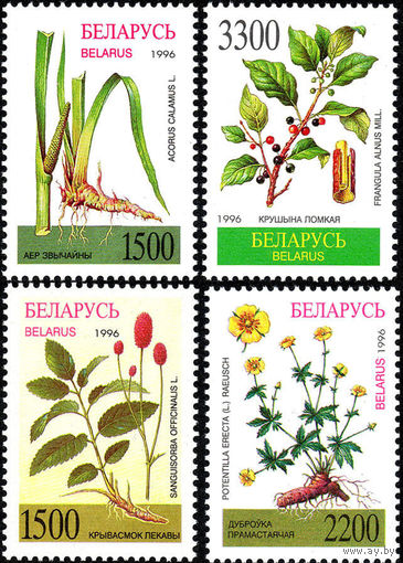 Лекарственные растения Беларусь 1996 год (169-173) серия из 4-х марок