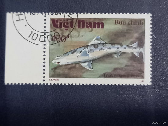 Вьетнам. 1991г. Акула