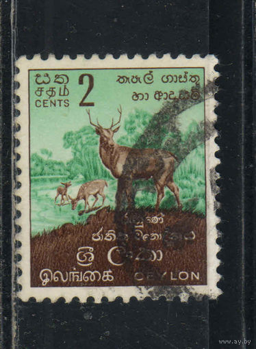 Цейлон Шри Ланка 1958 Нацпарк Рухуна Замбар Стандарт #294