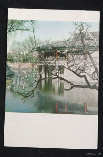 Открытка Издательство Пекин. Китай. Павильон над водой в парке им. Сунь Ят-сена. Чистая #0139-V1P70