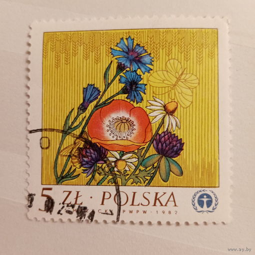 Польша 1982. Флора. Полевые цветы