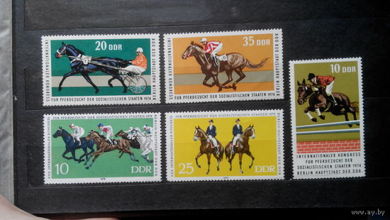 Лошади, фауна, спорт, скачки, марки ГДР 1974