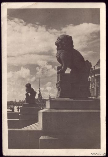 1948 год Ленинград Китайские львы