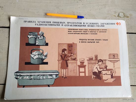 Плакат"Санитарно-гигиеническая подготовка учащихся по нормам БГСО"\д