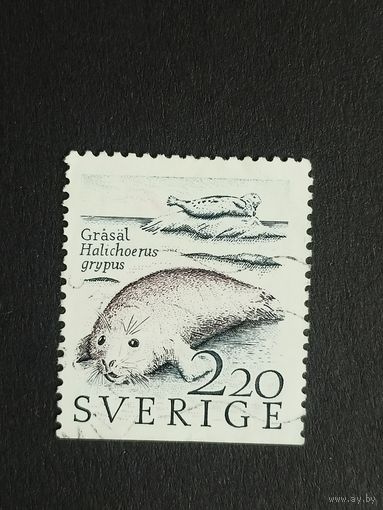Швеция 1988. Прибрежные воды